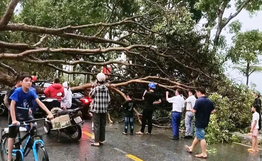 D&ocirc;ng lốc l&agrave;m hư hại gần 60 ng&ocirc;i nh&agrave; ở L&agrave;o Cai, 1 c&ocirc;ng nh&acirc;n m&ocirc;i trường bị thương - Ảnh 2.