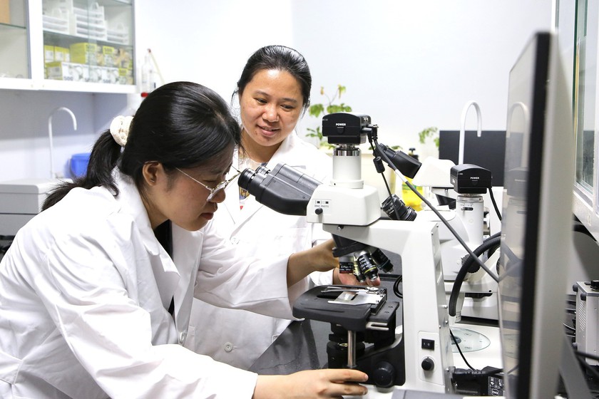 Quỹ học bổng quốc gia - tiếp sức cho nữ giới chinh phục với c&aacute;c ng&agrave;nh STEM - Ảnh 1.