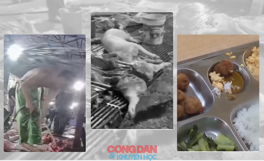 Trường học c&oacute; c&ograve;n l&agrave; nơi an to&agrave;n nhất cho trẻ em? - Ảnh 4.