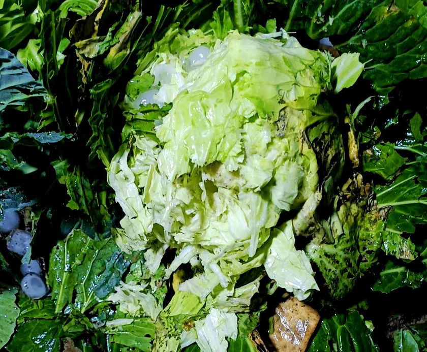 Mưa đá lớn, kéo dài gần 1 giờ ở xã Bắc Hà làm sập nhà sàn, 4 người bị thương - Ảnh 6.