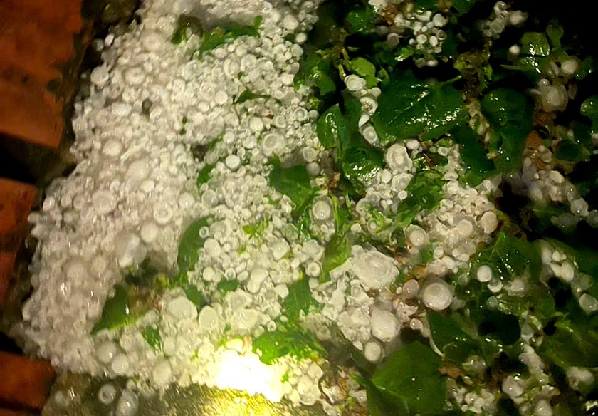 Mưa đá lớn, kéo dài gần 1 giờ ở xã Bắc Hà làm sập nhà sàn, 4 người bị thương - Ảnh 4.