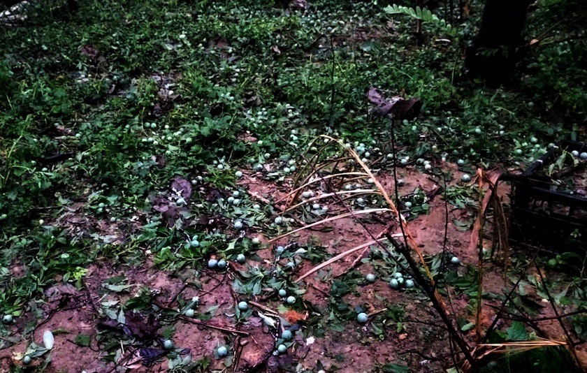 Mưa đá lớn, kéo dài gần 1 giờ ở xã Bắc Hà làm sập nhà sàn, 4 người bị thương - Ảnh 8.