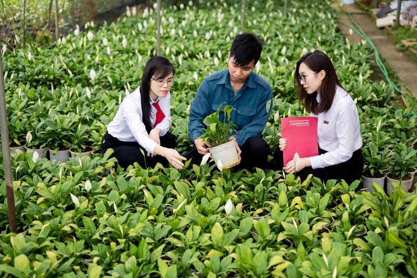 Agribank - D&ograve;ng vốn bền bỉ, điểm tựa vững chắc cho người d&acirc;n v&agrave; doanh nghiệp - Ảnh 2.