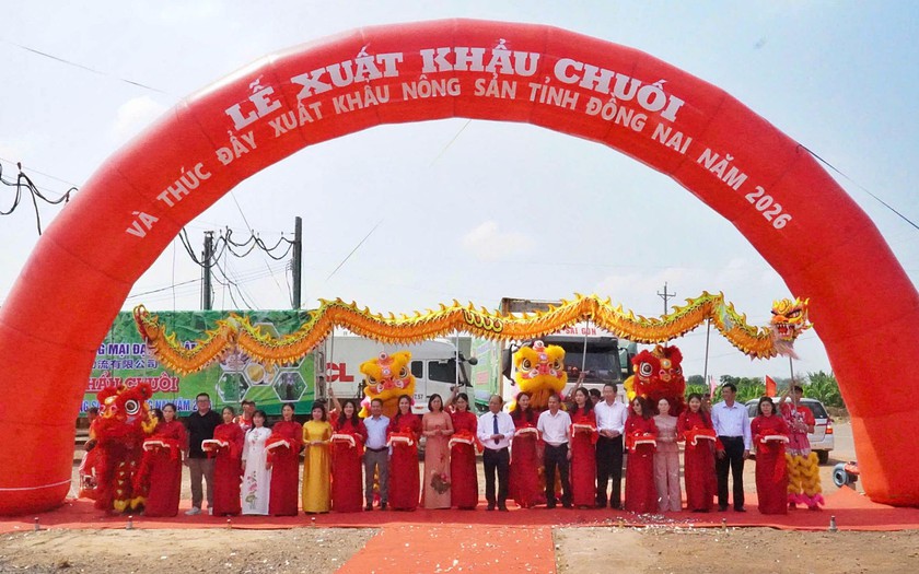 Đồng Nai xuất khẩu 220 tấn chuối tươi, th&uacute;c đẩy xuất khẩu n&ocirc;ng sản năm 2026 - Ảnh 1.