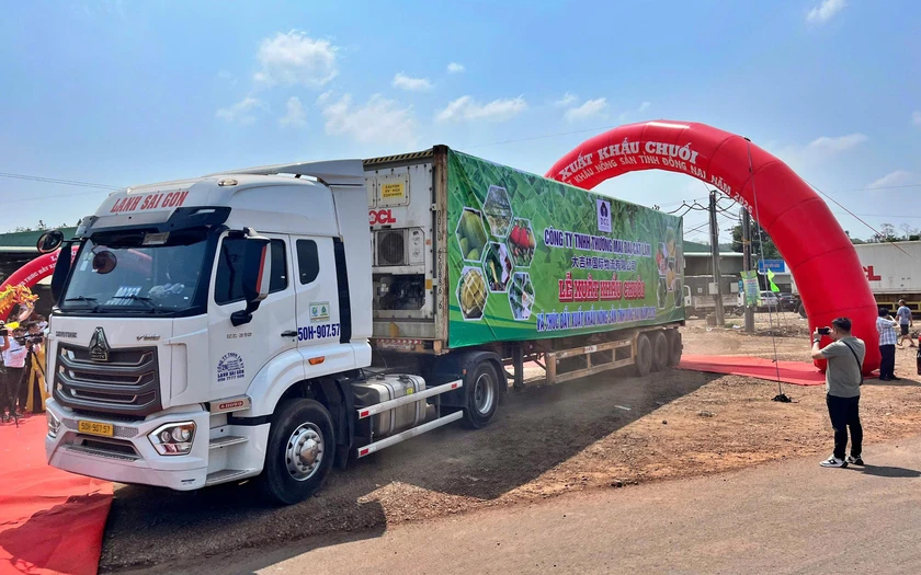 Đồng Nai xuất khẩu 220 tấn chuối tươi, th&uacute;c đẩy xuất khẩu n&ocirc;ng sản năm 2026 - Ảnh 3.