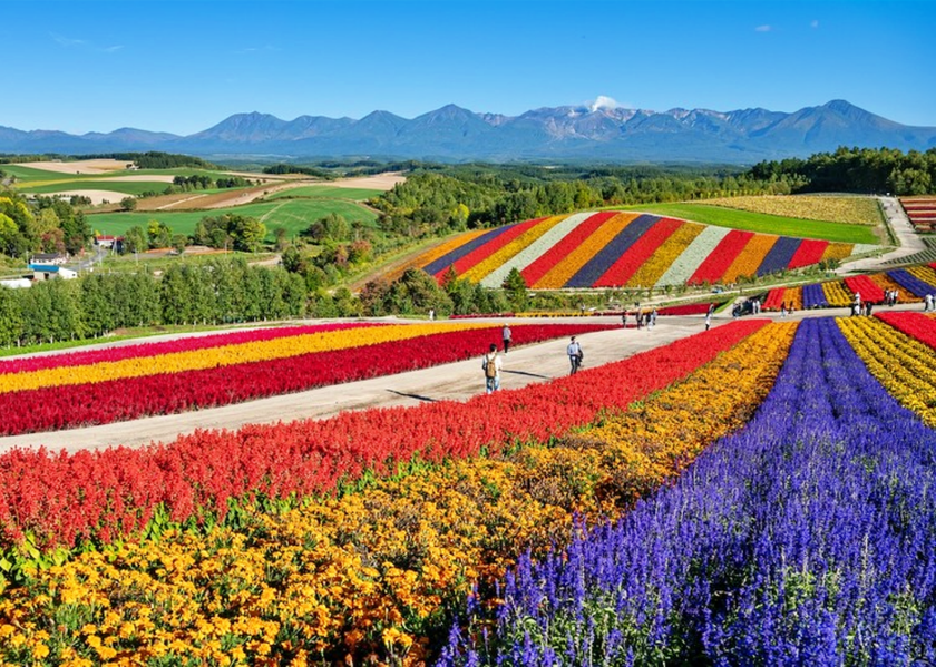 Sa Pa - điểm đến du lịch đẹp nhất ch&acirc;u &Aacute; với những chuyến phi&ecirc;u lưu cổ t&iacute;ch - Ảnh 5.