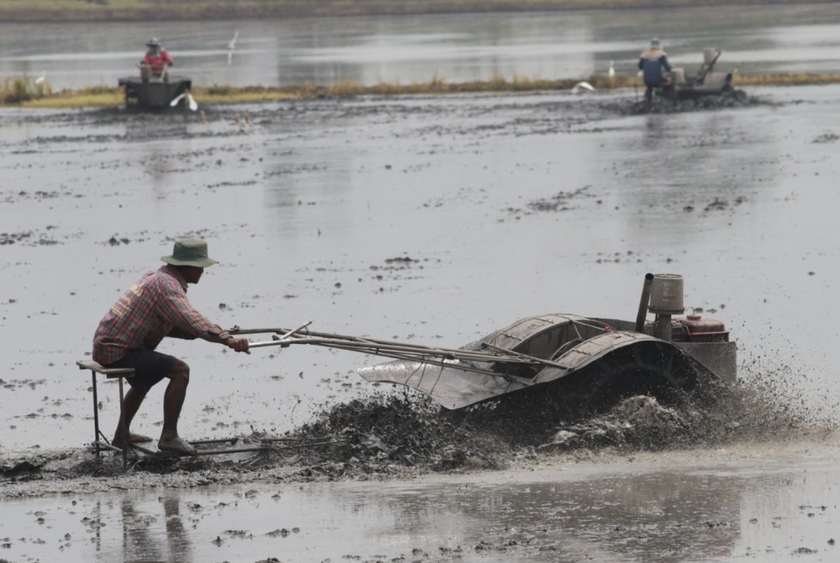 Bệnh "sốt đất" ở Th&aacute;i Lan - đi du lịch Th&aacute;i Lan n&ecirc;n lưu &yacute; g&igrave;? - Ảnh 1.