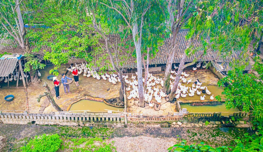 Top 10 Ng&acirc;n h&agrave;ng ESG Việt Nam 2026: Dấu ấn Agribank- Ảnh 2.