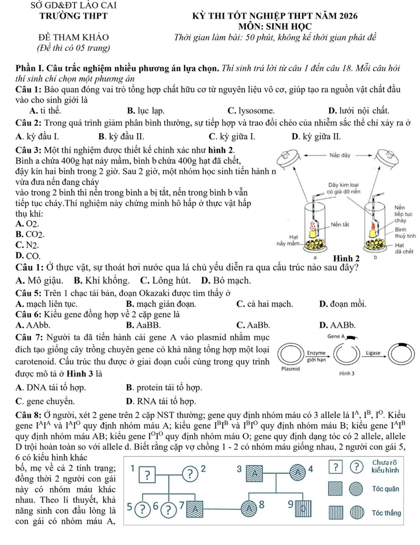 Đề thi thử tốt nghiệp trung học phổ th&ocirc;ng năm 2026 m&ocirc;n Sinh học của L&agrave;o Cai - Ảnh 1.