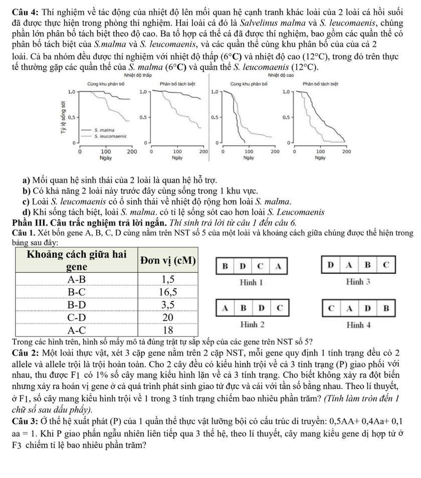Đề thi thử tốt nghiệp trung học phổ th&ocirc;ng năm 2026 m&ocirc;n Sinh học của L&agrave;o Cai - Ảnh 4.