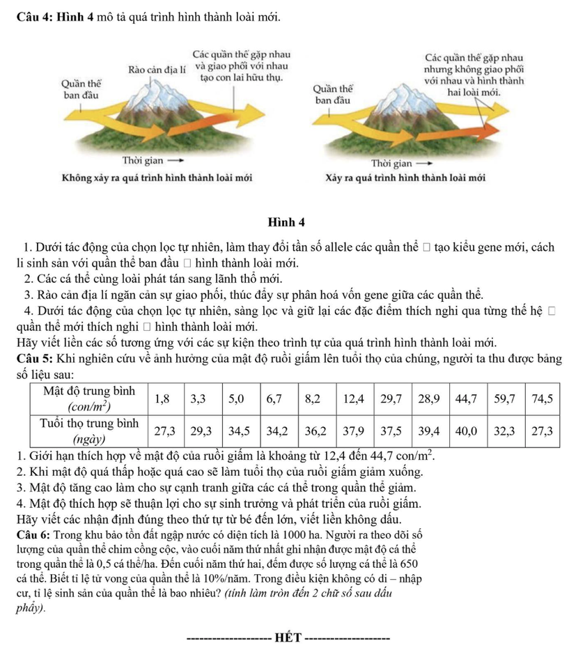 Đề thi thử tốt nghiệp trung học phổ th&ocirc;ng năm 2026 m&ocirc;n Sinh học của L&agrave;o Cai - Ảnh 5.