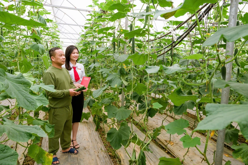 Agribank khơi nguồn s&aacute;ng tạo, kiến tạo tương lai ph&aacute;t triển bền vững - Ảnh 2.