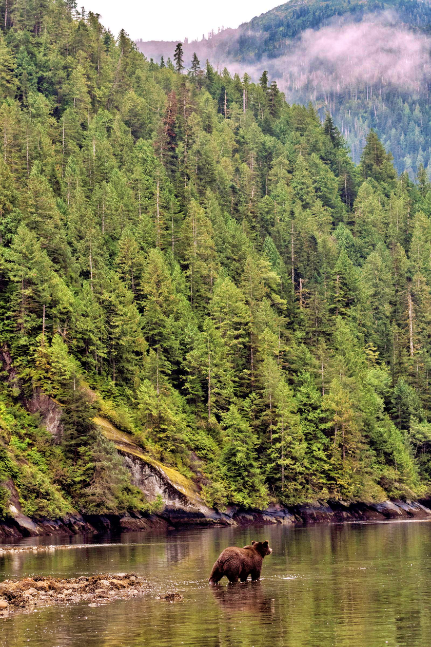 Th&ocirc;ng điệp du lịch từ 7 kỳ quan thi&ecirc;n nhi&ecirc;n thế giới 2026 - Ảnh 5.