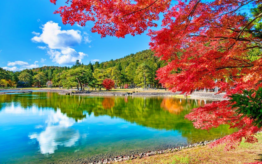 Khởi động m&ugrave;a du lịch h&egrave; với 8 Di sản Thế giới tại ch&acirc;u &Aacute; &ldquo;phải gh&eacute; thăm&rdquo; - Ảnh 7.