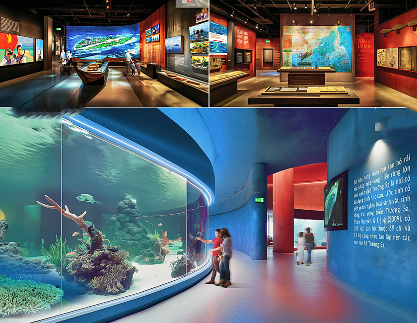 Bảo t&agrave;ng Trường Sa được x&acirc;y dựng, bảo quản những hiện vật qu&yacute; về biển, đảo Tổ quốc - Ảnh 2.