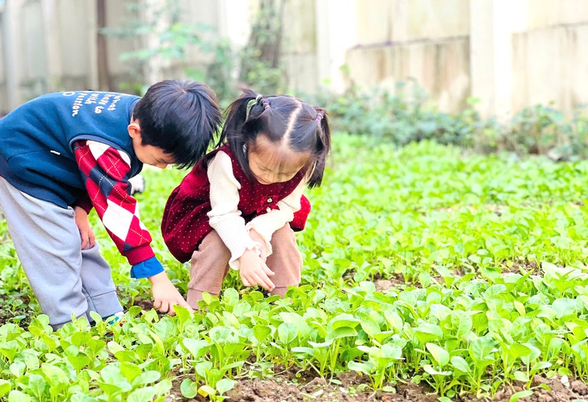 Thịt lợn bệnh v&agrave;o trường học - bữa ăn th&agrave;nh bữa lo khi "đ&uacute;ng quy tr&igrave;nh" vẫn bỏ qu&ecirc;n con trẻ - Ảnh 1.
