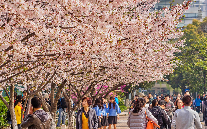 Côn Đảo được vinh danh trong những điểm đến mùa xuân tuyệt nhất 2026 - Ảnh 3.