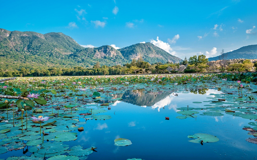 Côn Đảo được vinh danh trong những điểm đến mùa xuân tuyệt nhất 2026 - Ảnh 1.