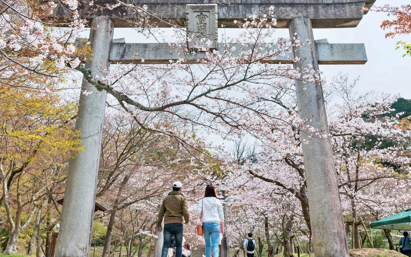 Côn Đảo được vinh danh trong những điểm đến mùa xuân tuyệt nhất 2026 - Ảnh 4.