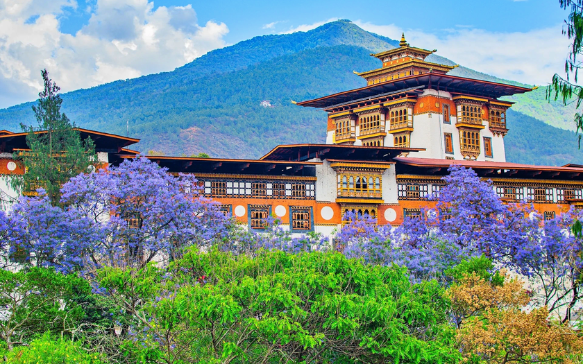 Côn Đảo được vinh danh trong những điểm đến mùa xuân tuyệt nhất 2026 - Ảnh 7.