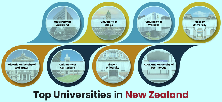 Sau 4 năm, du học sinh Việt Nam tại New Zealand lần đầu vượt mốc 2.000  - Ảnh 3.