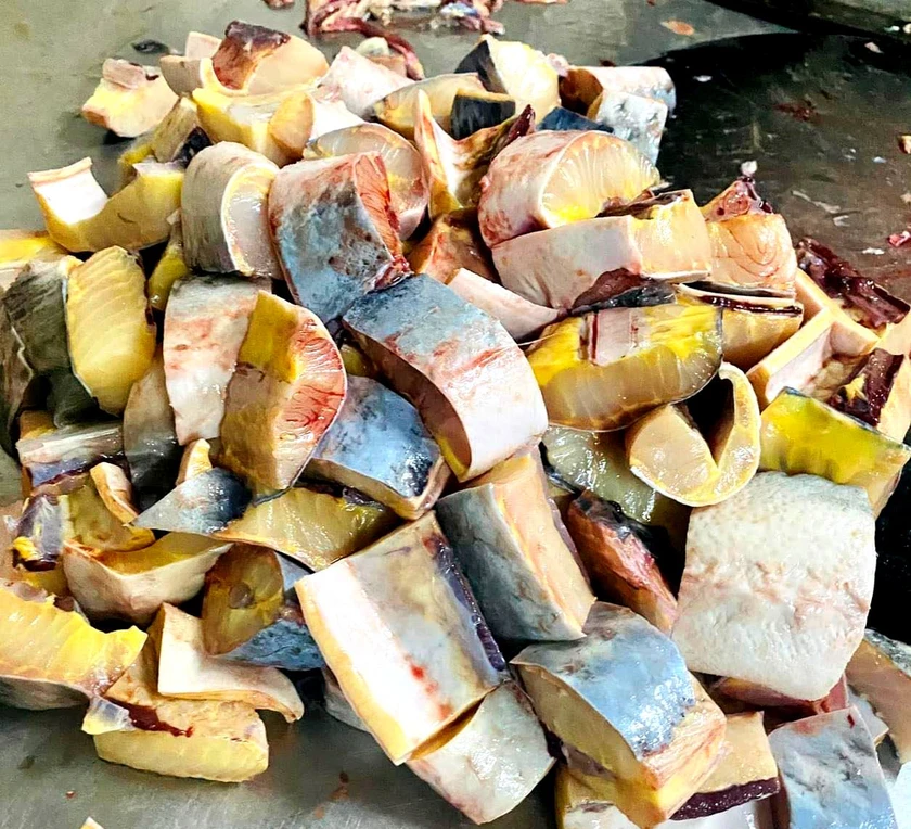 Mưa lớn làm hàng chục tấn cá tầm, cá hồi Sa Pa sặc lũ chết nổi trắng bể nuôi - Ảnh 14.