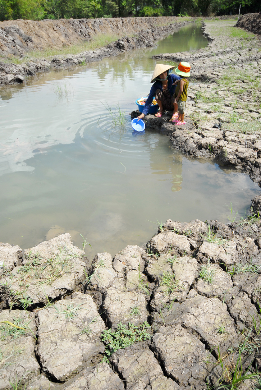 Từ “siêu El Niño” 2015-2016 đến nỗi lo El Niño 2026 - Ảnh 1.