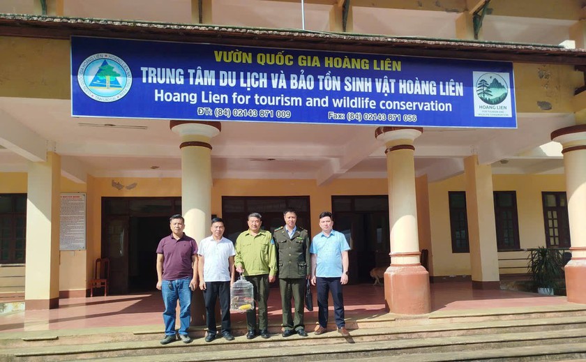 T&aacute;i thả 18 c&aacute; thể động vật hoang d&atilde; về m&ocirc;i trường sống tự nhi&ecirc;n ở Vườn quốc gia Ho&agrave;ng Li&ecirc;n - Ảnh 9.