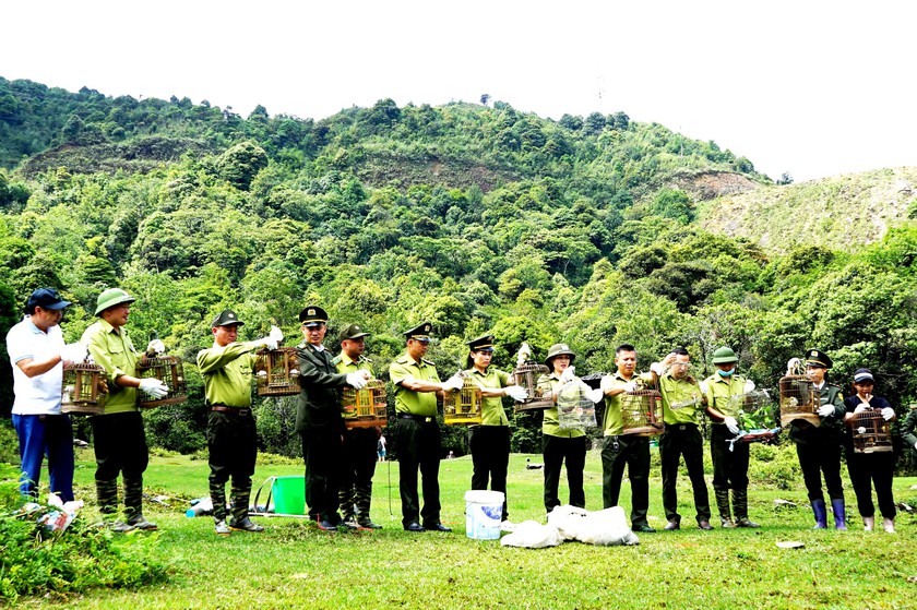 T&aacute;i thả 18 c&aacute; thể động vật hoang d&atilde; về m&ocirc;i trường sống tự nhi&ecirc;n ở Vườn quốc gia Ho&agrave;ng Li&ecirc;n - Ảnh 5.