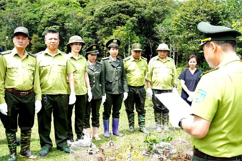 T&aacute;i thả 18 c&aacute; thể động vật hoang d&atilde; về m&ocirc;i trường sống tự nhi&ecirc;n ở Vườn quốc gia Ho&agrave;ng Li&ecirc;n - Ảnh 2.