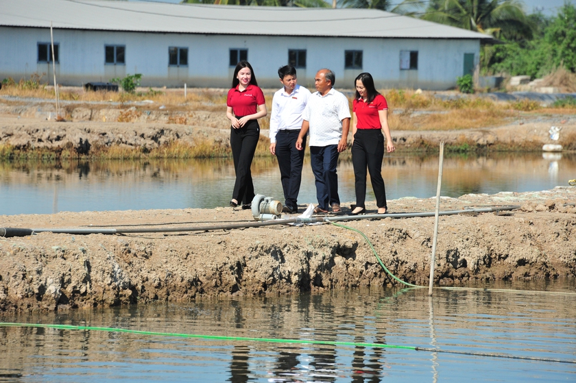 Agribank tăng cường quản l&yacute; rủi ro t&iacute;n dụng, bảo đảm an to&agrave;n hệ thống- Ảnh 3.