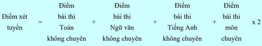 1 "chọi 8" v&agrave;o lớp 10 Trường Phổ th&ocirc;ng Năng khiếu tại Th&agrave;nh phố Hồ Ch&iacute; Minh - Ảnh 2.