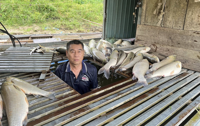H&agrave;ng tấn c&aacute; nu&ocirc;i chết bất thường dưới d&ograve;ng s&ocirc;ng Lam - Ảnh 1.