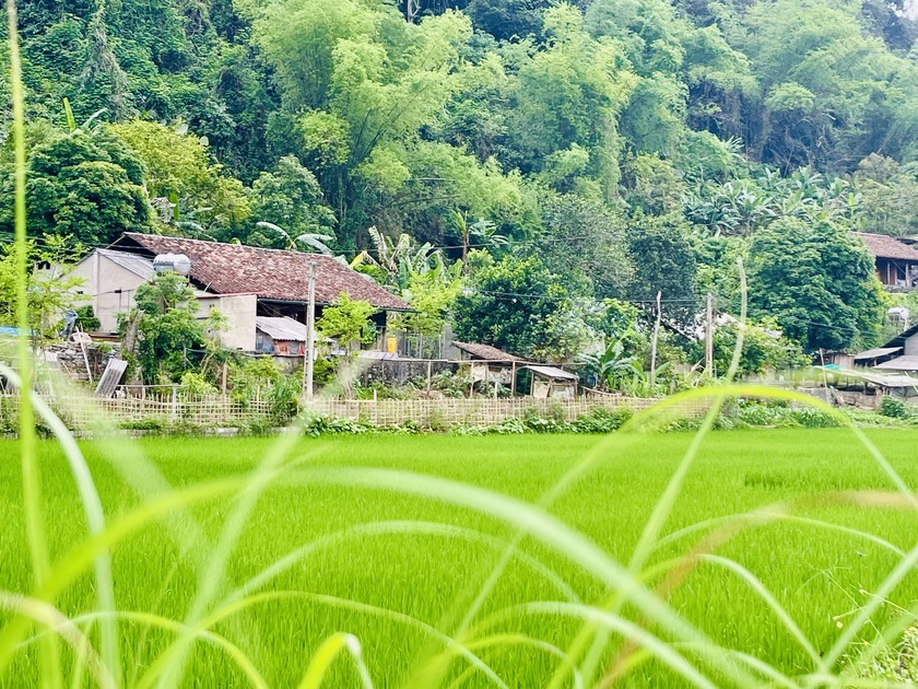 Thăm hồ Ba Bể - Vi&ecirc;n ngọc xanh giữa n&uacute;i rừng Việt Bắc - Ảnh 3.