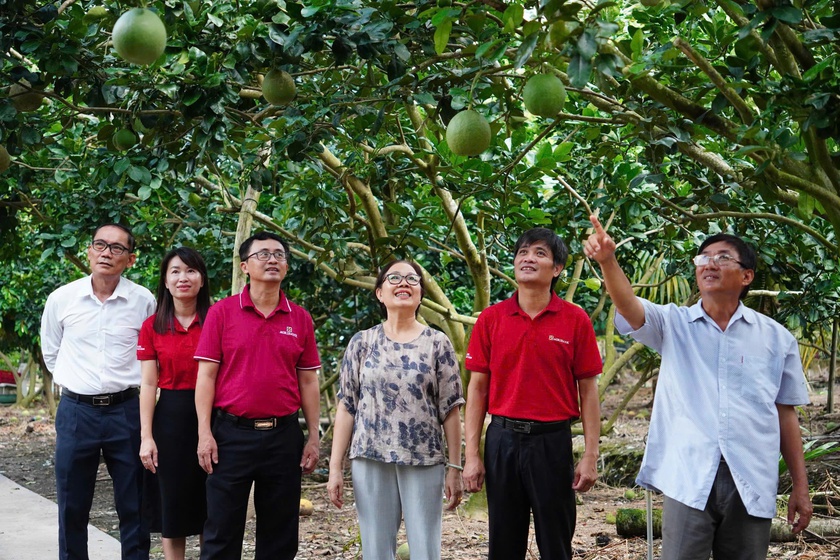 Agribank - D&ograve;ng vốn lan tỏa, kiến tạo ph&aacute;t triển bền vững tại Đồng bằng s&ocirc;ng Cửu Long- Ảnh 2.
