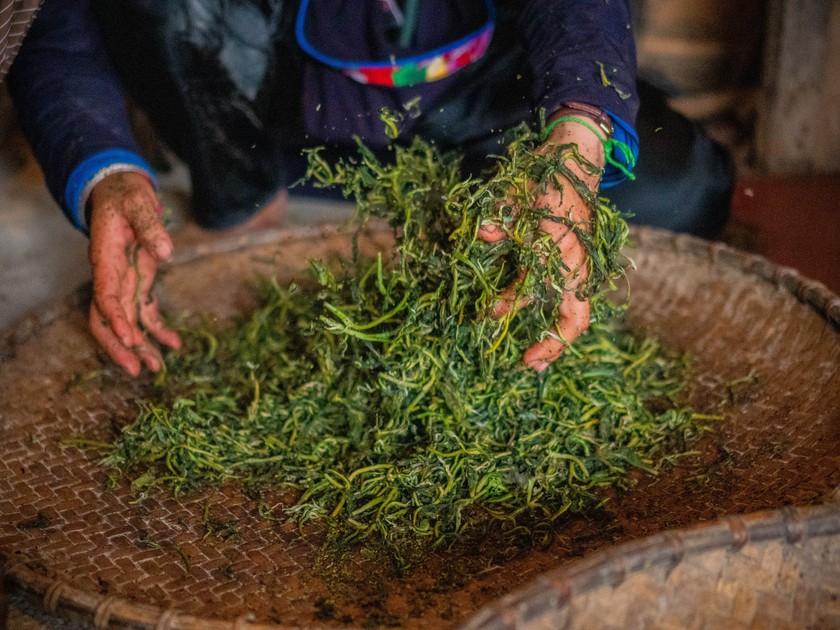 Hương tr&agrave; Shan tuyết bản Liền - kết tinh t&igrave;nh đất, t&igrave;nh người - Ảnh 12.