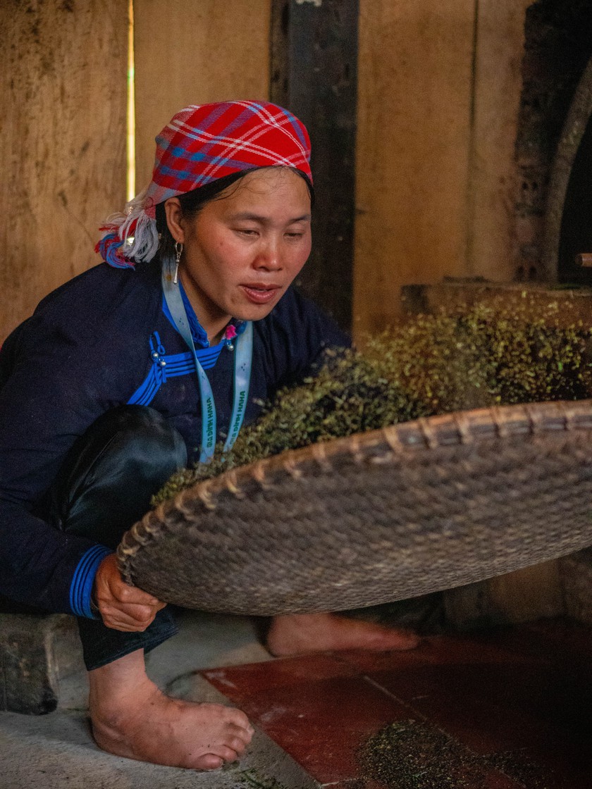 Hương tr&agrave; Shan tuyết bản Liền - kết tinh t&igrave;nh đất, t&igrave;nh người - Ảnh 14.
