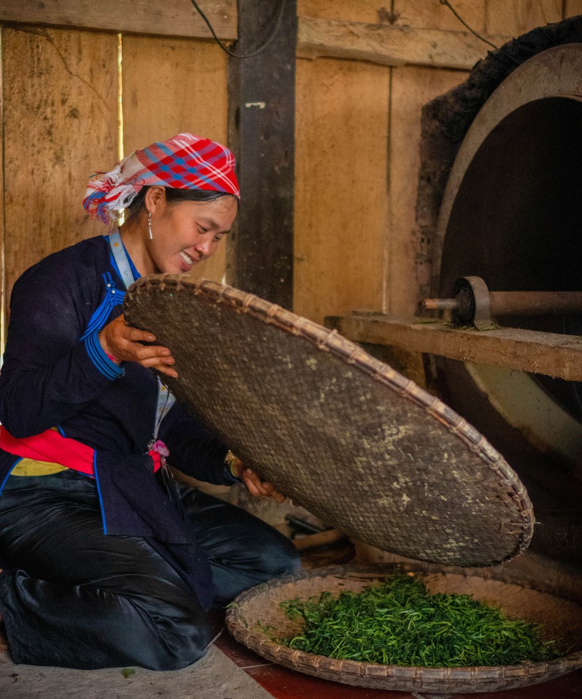 Hương tr&agrave; Shan tuyết bản Liền - kết tinh t&igrave;nh đất, t&igrave;nh người - Ảnh 9.