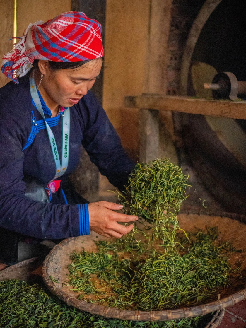 Hương tr&agrave; Shan tuyết bản Liền - kết tinh t&igrave;nh đất, t&igrave;nh người - Ảnh 10.