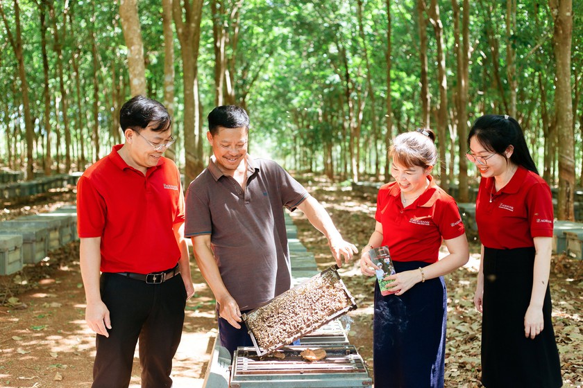 Agribank đẩy mạnh triển khai hoạt động cho vay thông qua Tổ vay vốn: Khơi thông nguồn vốn, trợ lực vững chắc cho “Tam nông” - Ảnh 1.