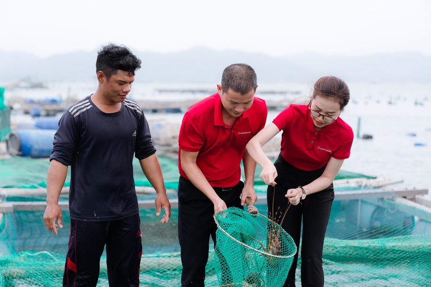 Agribank đẩy mạnh triển khai hoạt động cho vay thông qua Tổ vay vốn: Khơi thông nguồn vốn, trợ lực vững chắc cho “Tam nông” - Ảnh 4.