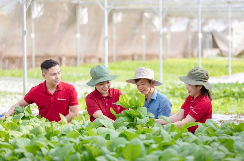 Agribank đẩy mạnh triển khai hoạt động cho vay thông qua Tổ vay vốn: Khơi thông nguồn vốn, trợ lực vững chắc cho “Tam nông” - Ảnh 6.