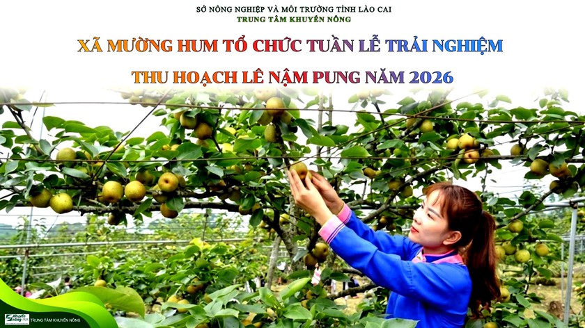 Sắp diễn ra lễ hội l&ecirc; Nậm Pung 2026 - Ảnh 1.