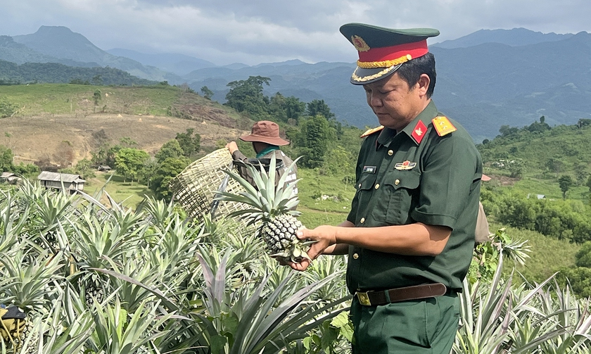 Kỳ vọng vào cây dứa giúp đồng bào biên giới Nghệ An thoát nghèo - Ảnh 7.
