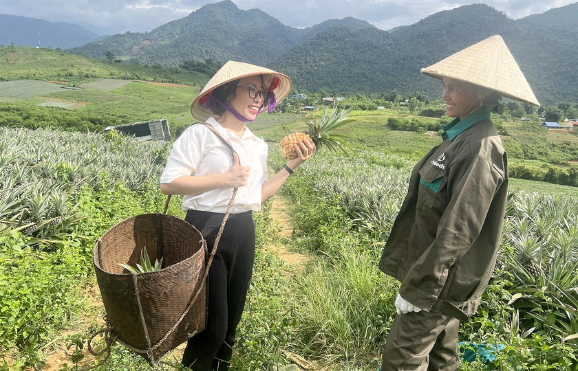 Kỳ vọng vào cây dứa giúp đồng bào biên giới Nghệ An thoát nghèo - Ảnh 12.