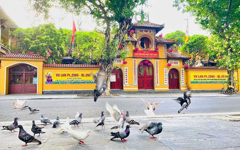Gi&aacute;o hội Phật gi&aacute;o ra c&ocirc;ng văn hướng dẫn thực h&agrave;nh ph&oacute;ng sinh bảo vệ m&ocirc;i trường v&agrave; đa dạng sinh học m&ugrave;a Vu lan - Ảnh 1.