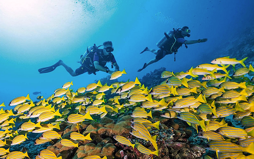 Maldives kỳ vọng &ldquo;sốt&rdquo; du lịch vượt mức kỷ lục lịch sử quốc gia - Ảnh 6.