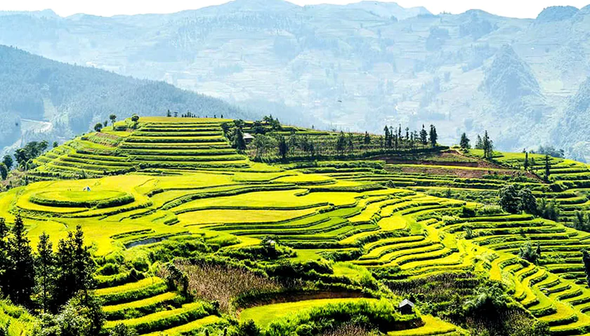 Bắc Hà mời gọi du khách về miền di sản trong Festival mùa Thu 2026 - Ảnh 6.
