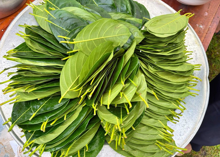 Tận mắt thấy các công đoạn làm cốm dẹp, bánh lá mít đặc sản Tây Nam Bộ giữa Thủ đô - Ảnh 2.