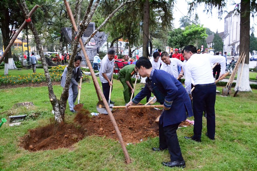 Phát động phong trào "Sa Pa Green" - Ảnh 4.